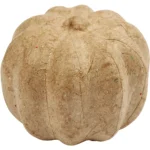 Pumpa
