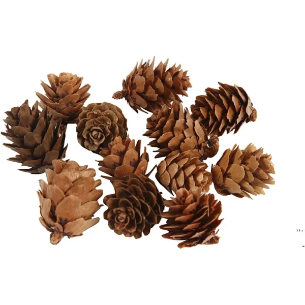 Lärkkottar - Produktbild - Bild 1