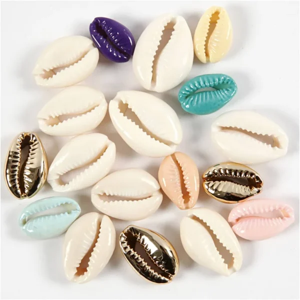 Snäckskal - Produktbild - Bild 1