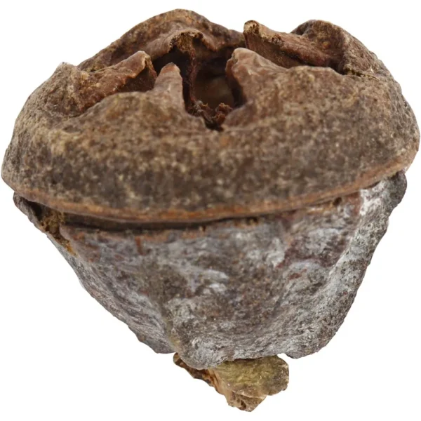 Eukalyptuskottar - Produktbild - Bild 3