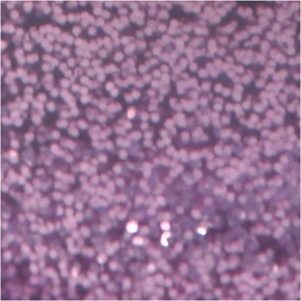 Glitterlim - Produktbild - Bild 1