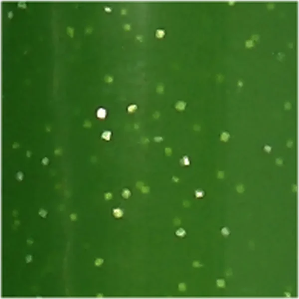 Glas- och Porslinstusch - Produktbild - Bild 1