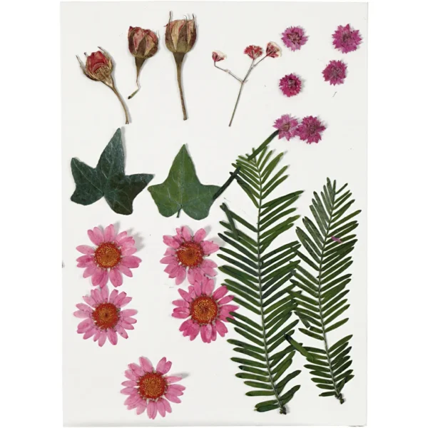 Torkade blommor och blad - Produktbild - Överblick