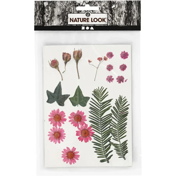Torkade blommor och blad - Produktbild - Bild 1