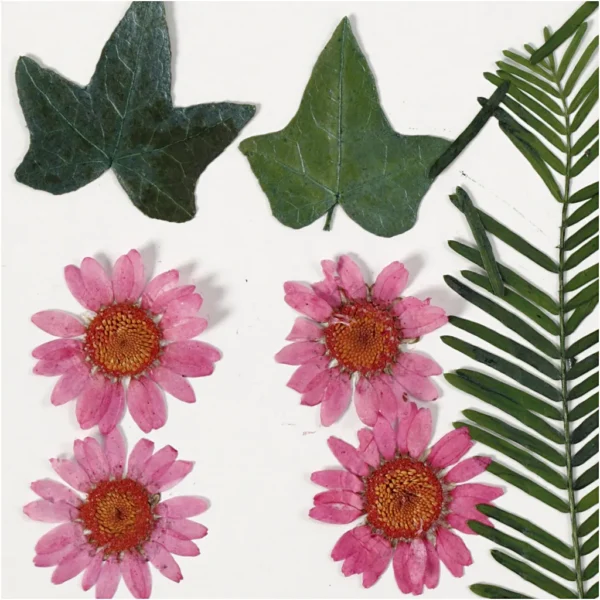 Torkade blommor och blad - Produktbild - Bild 2